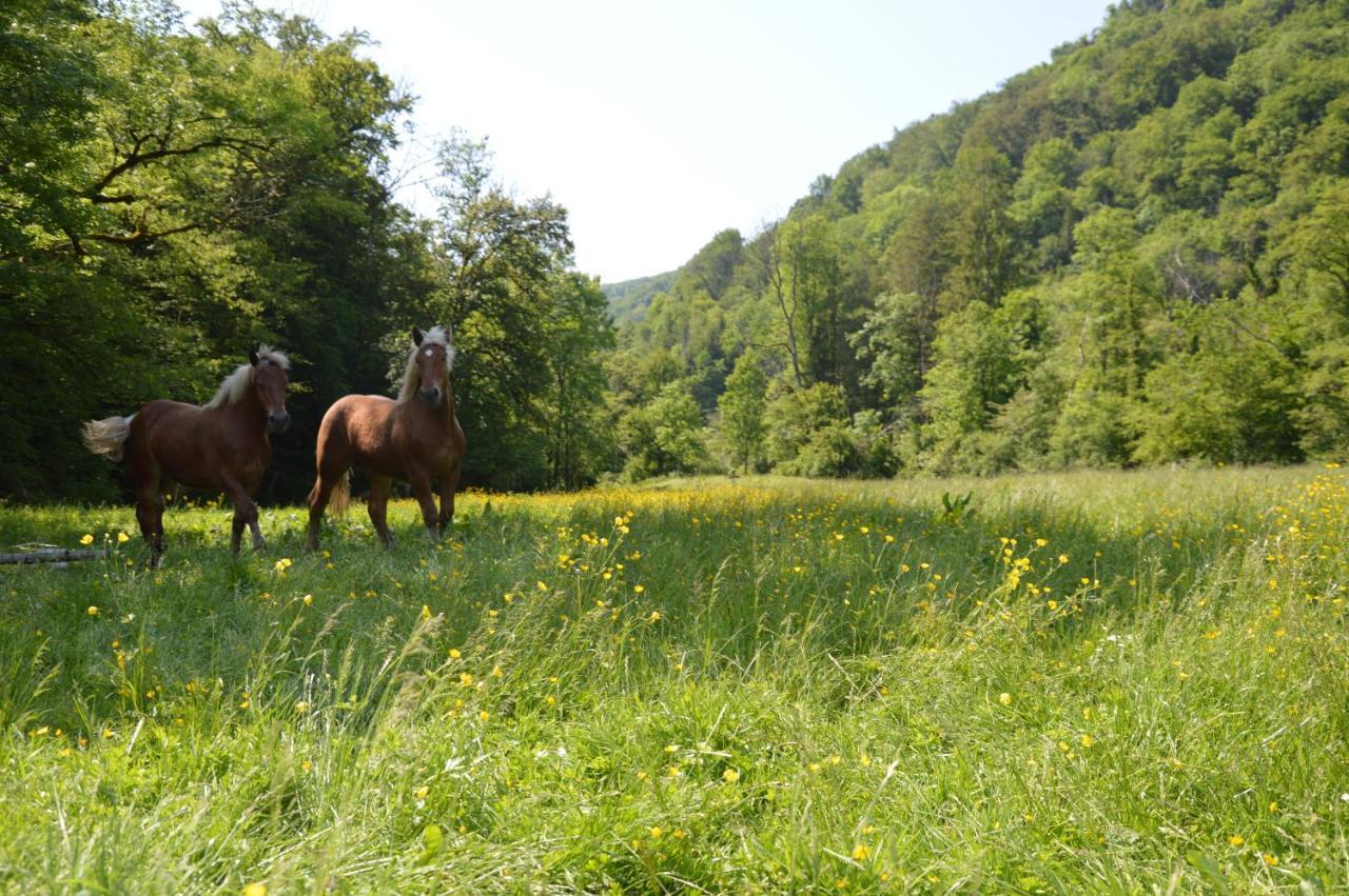 Moulin De La Cuse - L'Ilote Bed & Breakfast Cusance Екстериор снимка